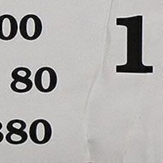 ジェイベック 電気パネルヒーター エリカ DEP-1000 オール電化(J304wY)