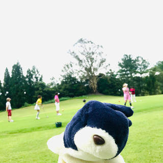 [関西]ゴルフ仲間募集中⛳️初心者歓迎🔰[20-40代]