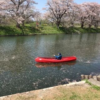 その他 希少 廃盤カラー アリー611 ALLY カナディアンカヌー