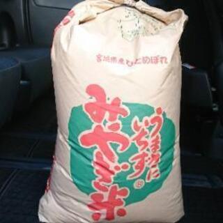 登米産令和元年産ひとめぼれ玄米30キロ