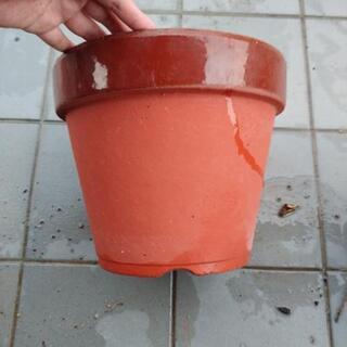 植木鉢(焼物)2