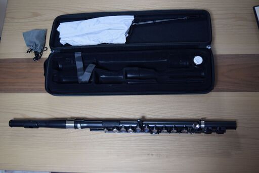 更に値下げ！】NUVO（ヌーボ）プラスチックフルート～超お手軽＆入門用