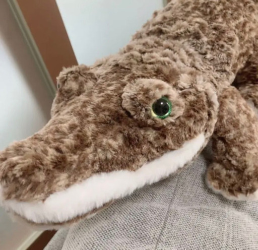 非売品 爬虫類bigぬいぐるみ ブラウンカラーインテリア大きいワニ りん 石岡のおもちゃの中古あげます 譲ります ジモティーで不用品の処分