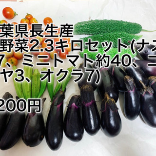 長生農家で獲れた夏野菜2.3キロセット(ナス17、ミニトマト約4...