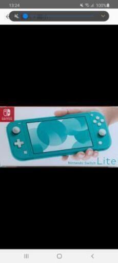 ☆NintendoSwitchlightターコイズ☆