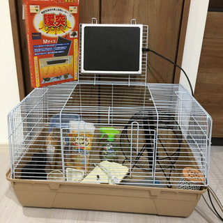 ハリネズミ 飼育セット | cootranszipa.com.co