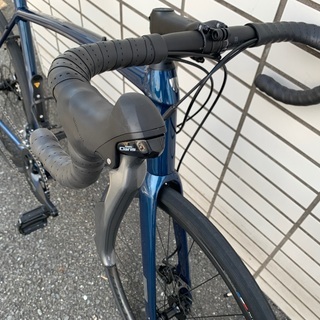 8/31まで限定出品【未使用】TREK DOMANE AL2 DISC 2021 58