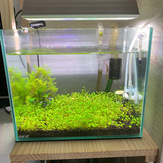 エーハイム2213 アクロトライアングルグロウ300 アクロ TRIANGLE LED