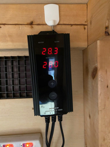 オーバーフロー水槽 引退品 再編しました 【公式通販】