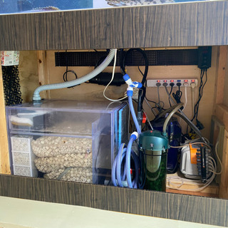 水槽セット　引退品 1セット（直送品） ペット用品 水槽セット 引退品