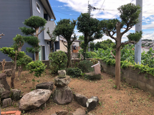 庭の手入れ 空き地の管理 樹木の伐採 K Tarou 伊万里の草刈りの無料広告 無料掲載の掲示板 ジモティー 庭の手入れ 空き地の管理 樹木の伐採 K Tarou 伊万里の草刈りの無料広告 無料掲載の掲示板 ジモティー