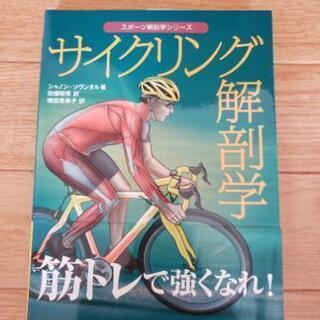 サイクリング解剖学