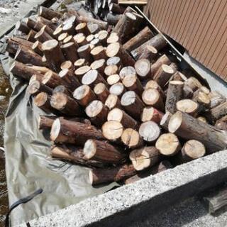 [取引中]薪、材木、焚き火、用差し上げます。