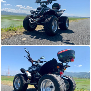 E-TON ATV VIPER ST50M 四輪バギー