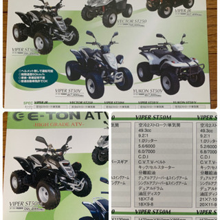 E-TON ATV VIPER ST50M 四輪バギー
