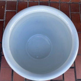 メダカ鉢、金魚鉢