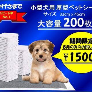 小型犬用ペットシーツ200枚入り　☆期間限定お試し価格☆　８月中のみ