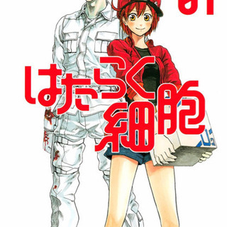 コロナ渦の中、社員さん大募集‼️