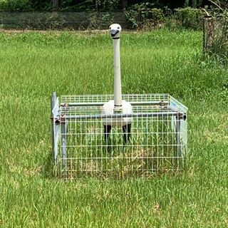 （雨のため中止）標高低い大自然ツーリング⛰きっと猿はいる‥ − 千葉県