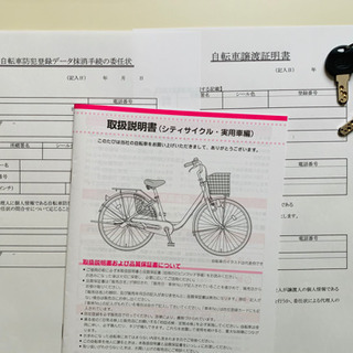 ブリヂストン BRIDGESTONE LT63SB 1D90FA0 ロングティーンベルト S型 BRIDGESTONE 26型 内装3段変速 2019年モデル M.XHスパークルシルバー]