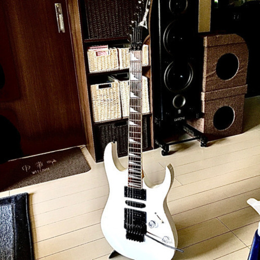 アイバニーズ RG370DX アイバニーズ RG370DX
