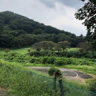 初心者ゴルファー募集中⛳️🏌️‍♀️🏌️‍♂️