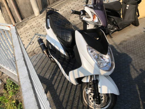 シグナス