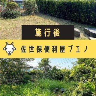 佐世保市での伐採・抜根・剪定・草刈り、お庭のお手入れで困ったら - 佐世保市