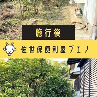 佐世保市での伐採・抜根・剪定・草刈り、お庭のお手入れで困ったら − 長崎県