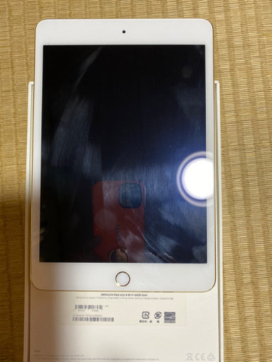 iPad ipad mini 4