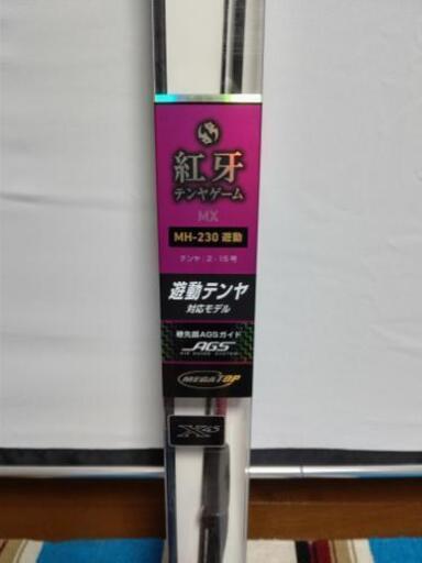 DAIWA紅牙テンヤゲームMXMH230遊動