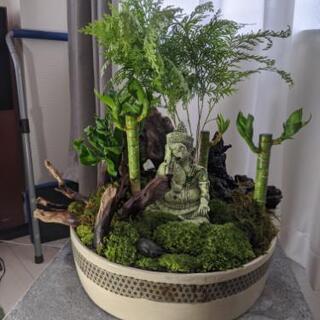 苔ジオラマ盆栽