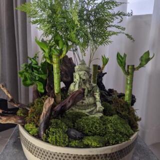 苔ジオラマ盆栽