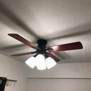 決まりました！モダン シーリングファン 