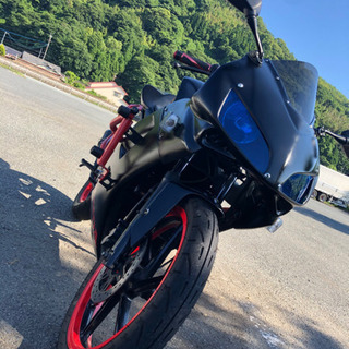 NS1CBR風フルカウル