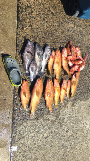 青森ボート釣り仲間募集 カンダタ 弘前の友達のメンバー募集 無料掲載の掲示板 ジモティー