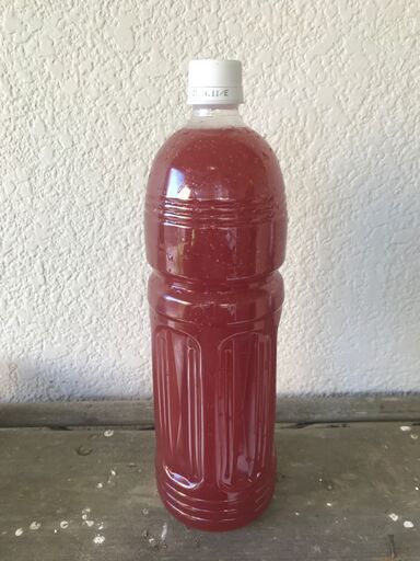 Psb 光合成細菌 1リットル500円 アラカキ 首里のその他の中古あげます 譲ります ジモティーで不用品の処分 Psb 光合成細菌 1リットル500円 アラカキ 首里のその他の中古あげます 譲ります ジモティーで不用品の処分