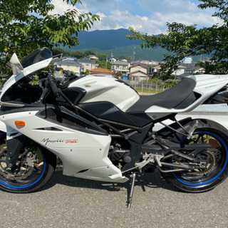 メガリ250R 社外マフラー