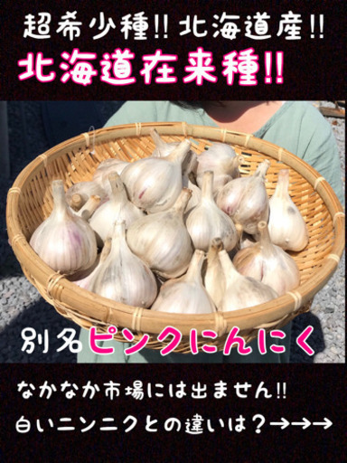 完売北海道産にんにく北海道在来種ピンクにんにく オカピ 滝川の食品の中古あげます 譲ります ジモティーで不用品の処分