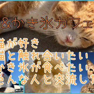 福岡の猫好きさん集合！9/2（水）11時〜☆★☆博多de猫＆かき...