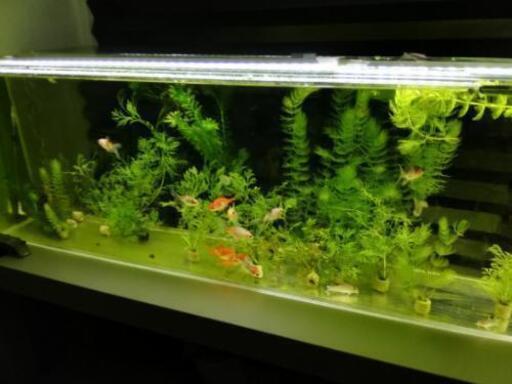 水槽　150センチ　薄型