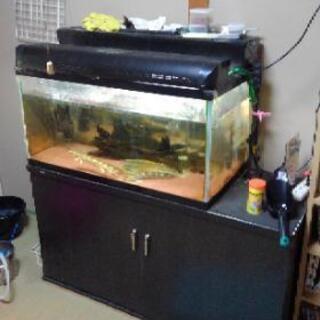 買い保障できる 横1 奥行き60 三重 水槽 引き取り限定 高さ45 魚用品 水草 Imizu Weblike Jp