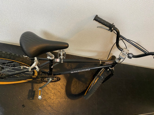 BMX SCHWINN シュウィン BMX SCHWINN シュウィン
