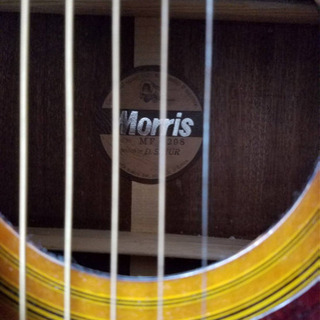 ギターMorris/モーリス   MF-208