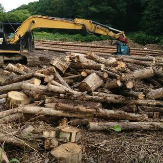 薪（針葉樹・広葉樹MIX）20,000円 薪ストーブ・キャンプ → 売り切れました