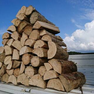 薪（針葉樹）18,000円/１㎥　★５㎥以上ご購入で送料無料（苫前から片道200km以内に限ります）★ → 売り切れました 