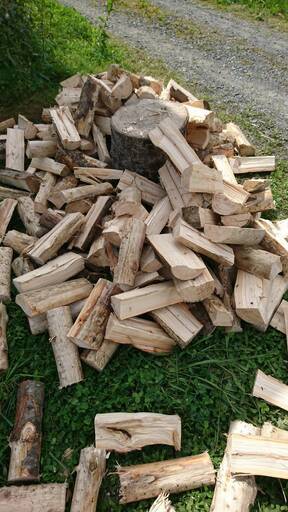 薪（針葉樹）18,000円/1㎥ ☆5㎥以上ご購入で送料無料（苫前から片道  