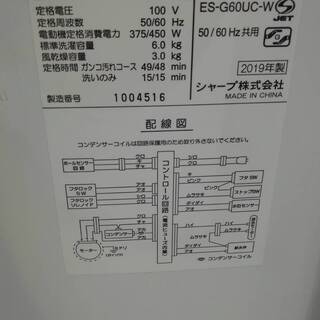 SHARP シャープ 6.0kg洗濯機 ES-G60UC 2019年式