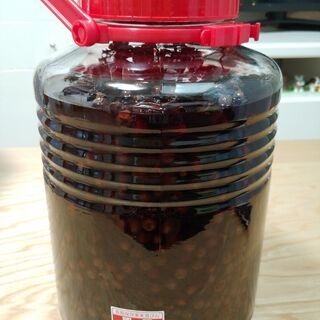 山ぶとう酒