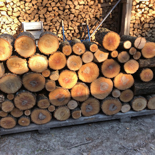 アベマキ未乾燥薪軽トラ約1車分 アベマキ未乾燥薪軽トラ約1車分